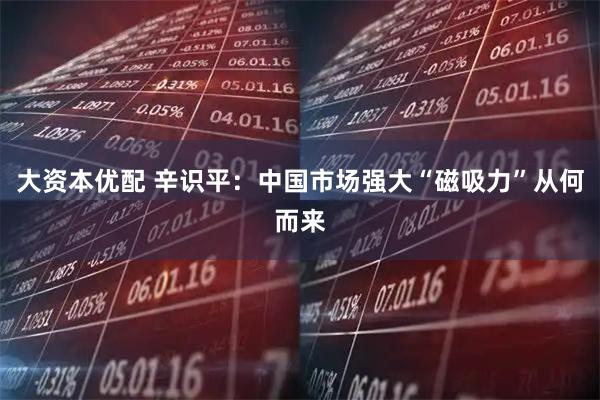 大资本优配 辛识平：中国市场强大“磁吸力”从何而来